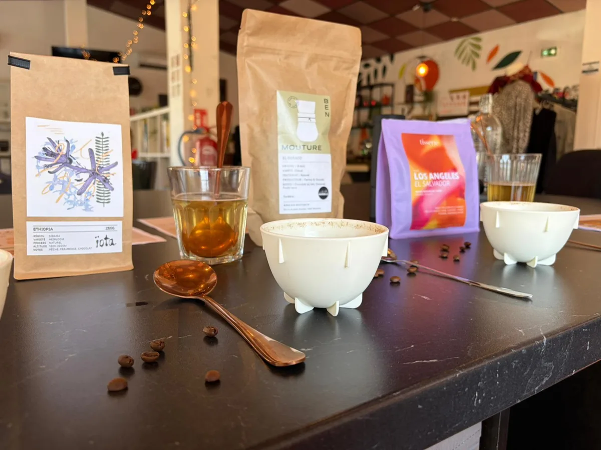 Table de cupping avec cafés et matériel de dégustation